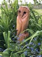 d. English Elm Owl.jpg